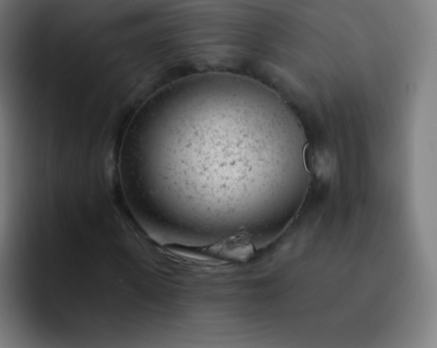 X0000093210915200710101323