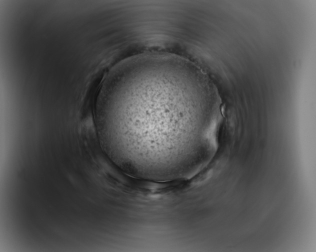 X0000093210916200710101323