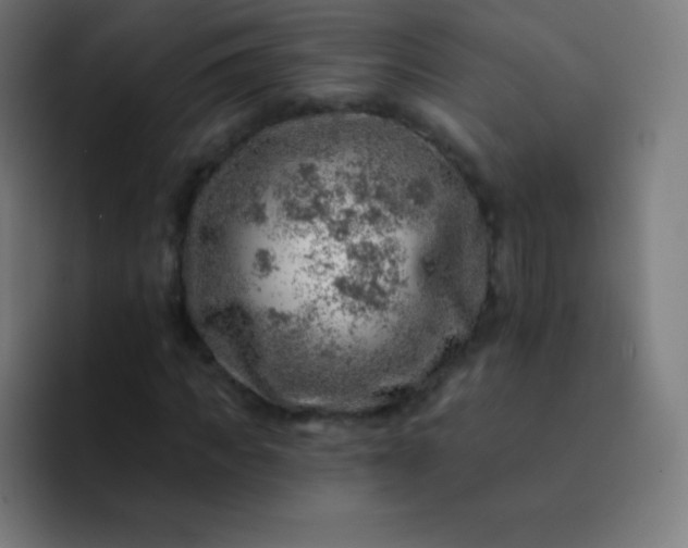 X0000093210917200710101323