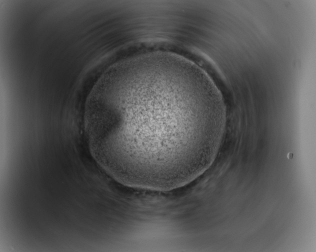 X0000093210919200710101323