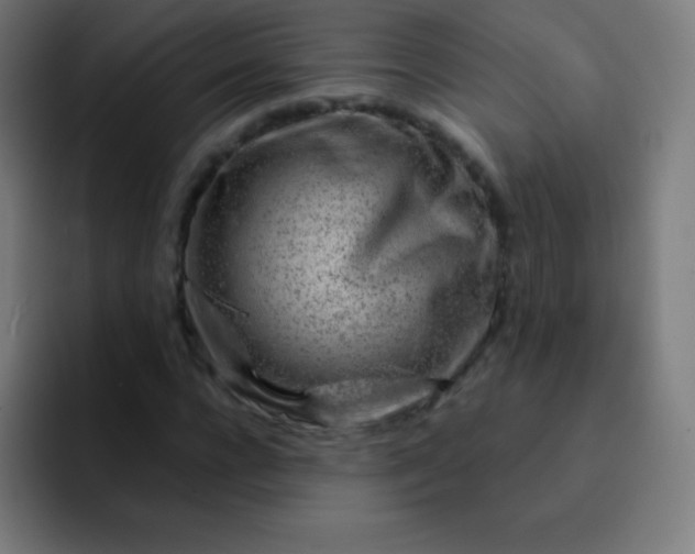 X0000093210920200710101323