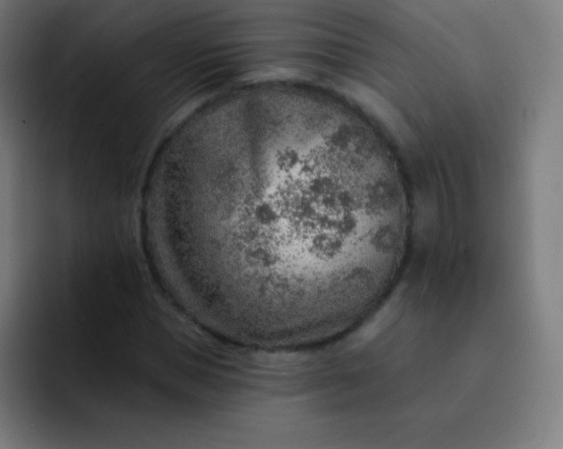 X0000093210921200710101323