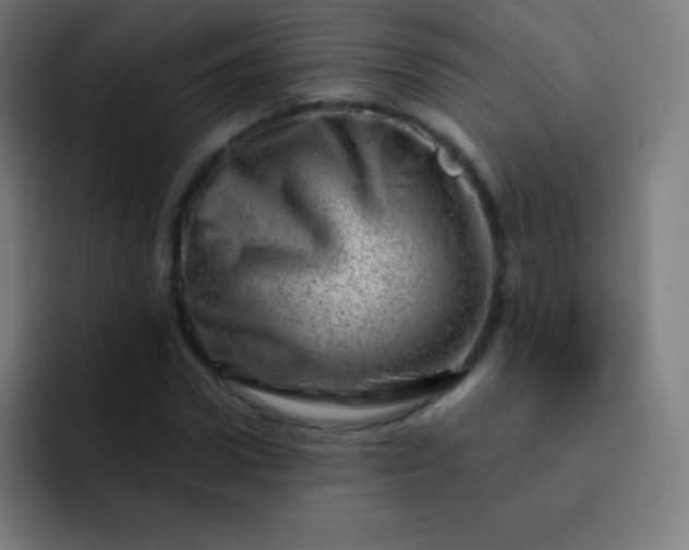 X0000093210922200710101323