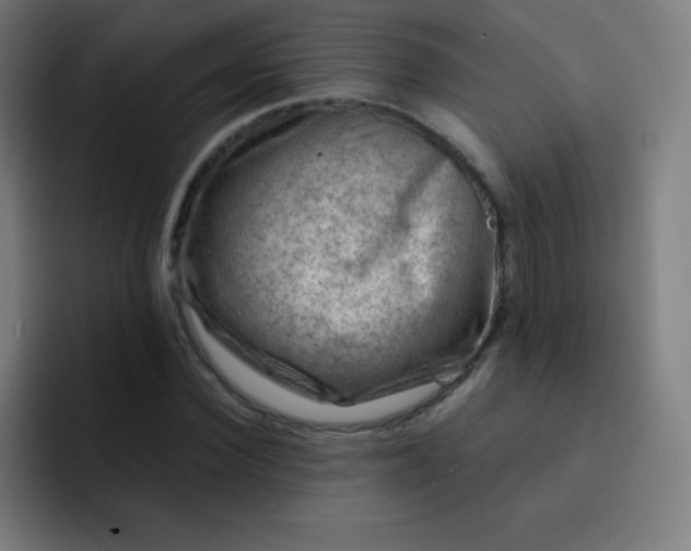 X0000093210924200710101323