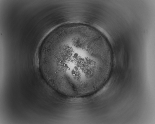 X0000093210925200710101323