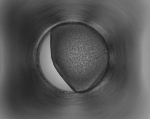 X0000093210926200710101323