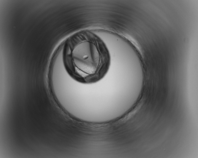 X0000093210928200710101323