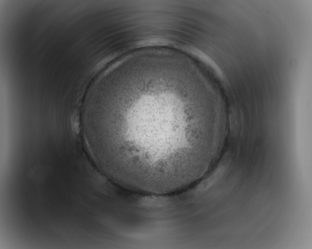 X0000093210929200710101323