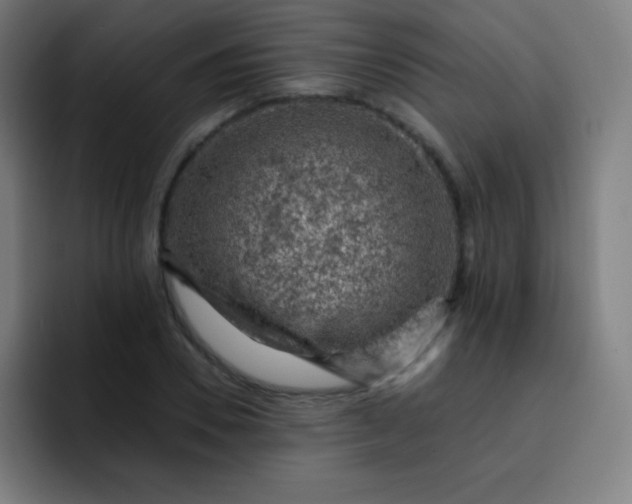 X0000093210930200710101323