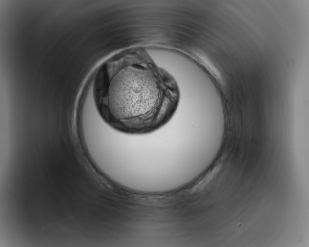 X0000093210932200710101323