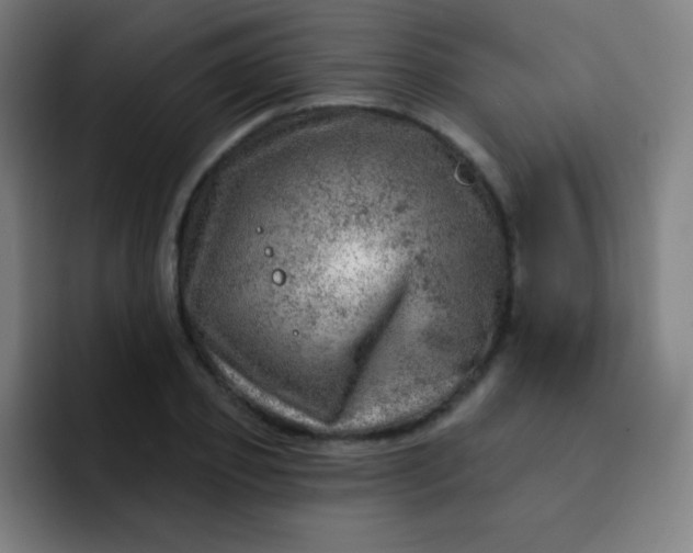 X0000093210933200710101323