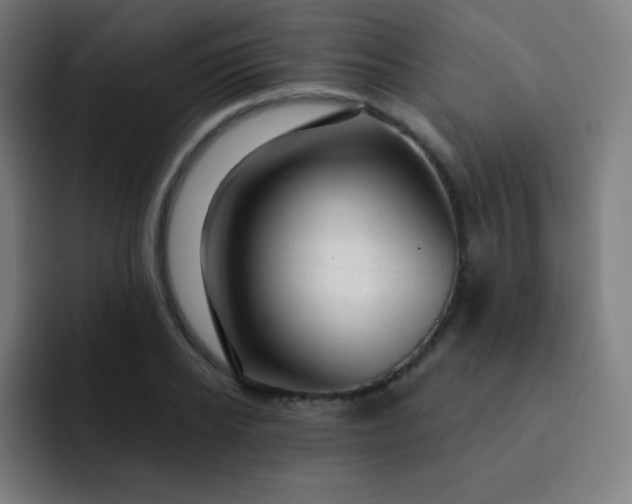 X0000093210934200710101324