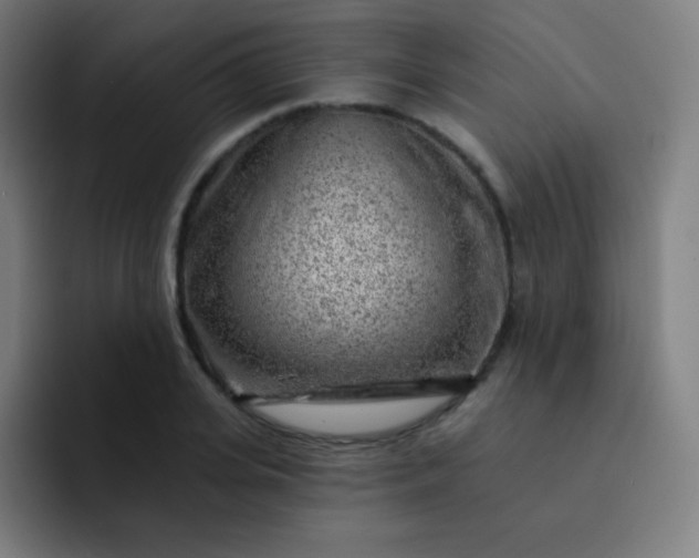 X0000093210935200710101324