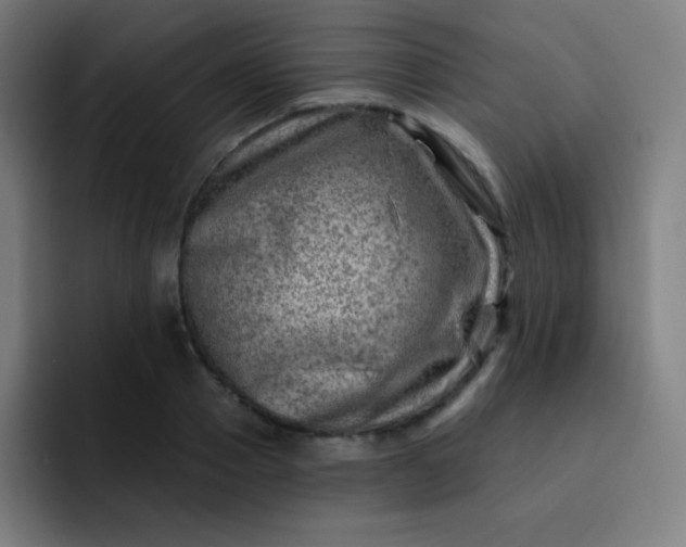 X0000093210937200710101324