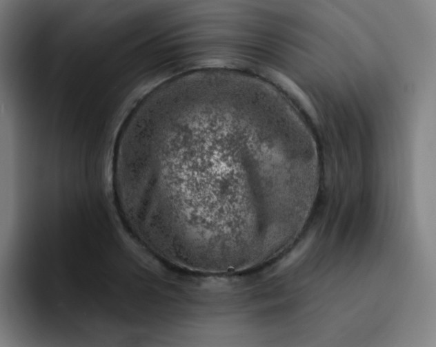 X0000093210938200710101324