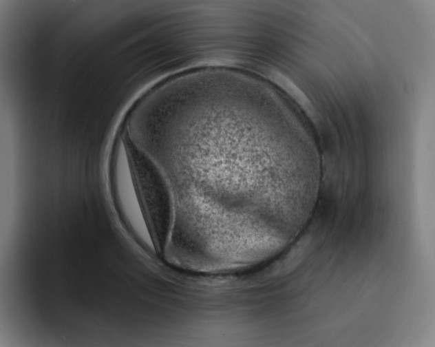 X0000093210939200710101324