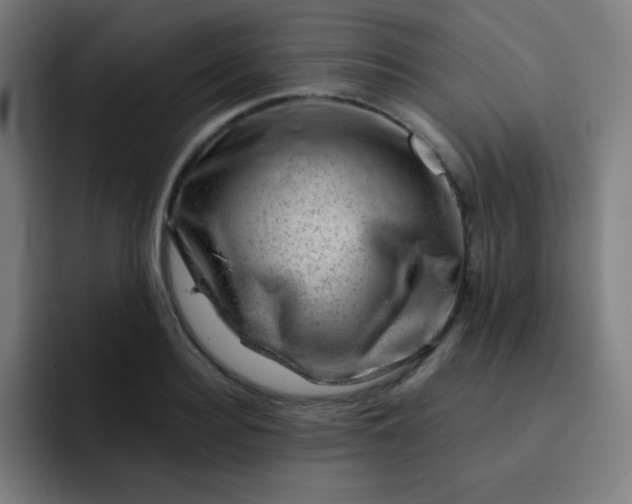 X0000093210940200710101324