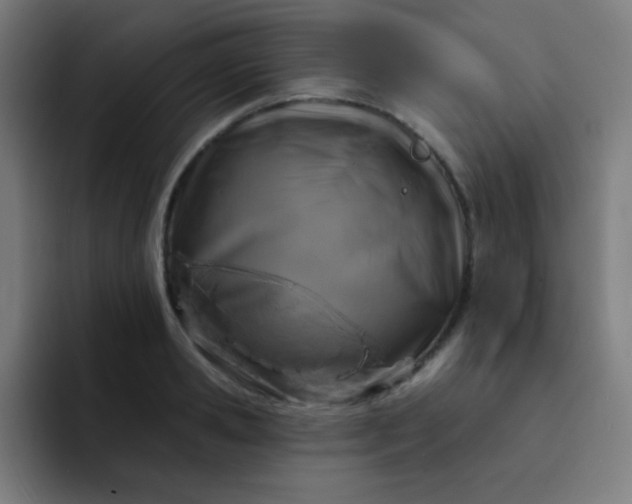 X0000093210941200710101324