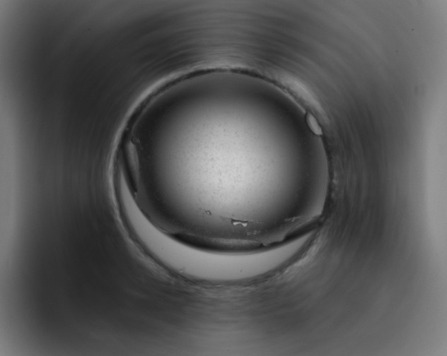 X0000093210942200710101324