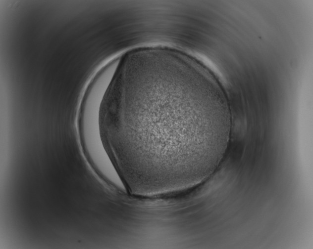 X0000093210943200710101324