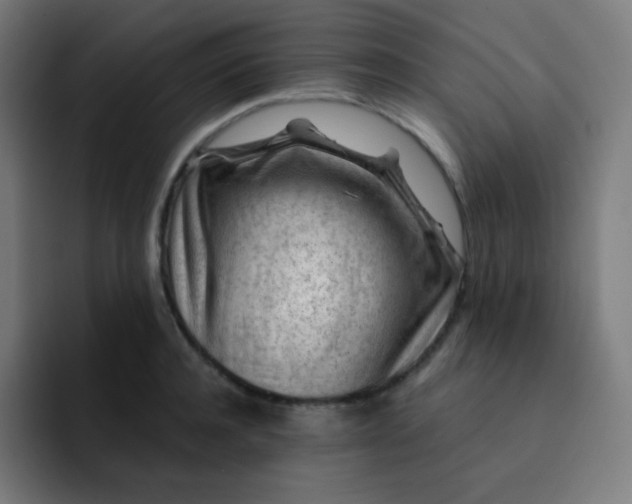 X0000093210944200710101324