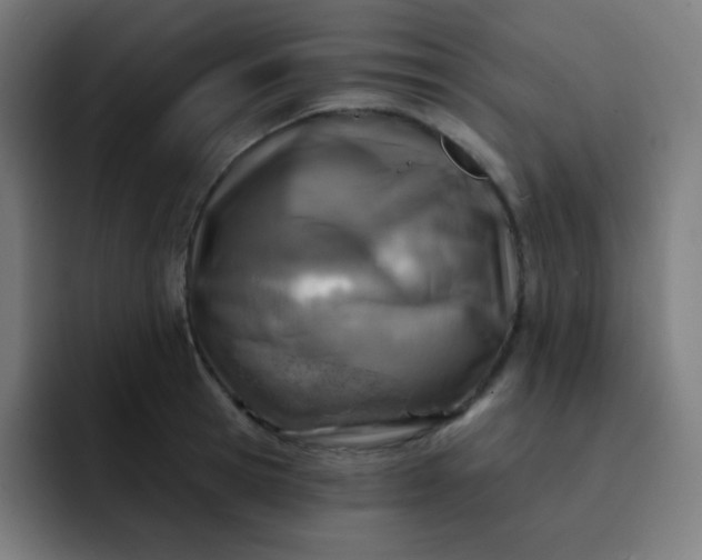 X0000093210945200710101324