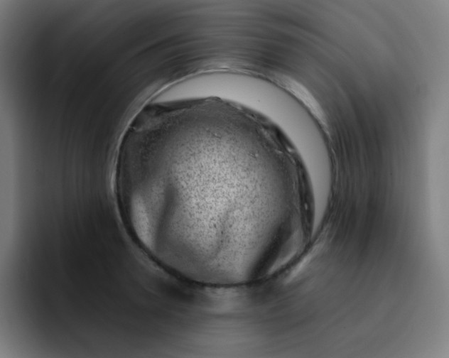 X0000093210946200710101324