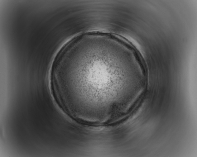 X0000093210949200710101324