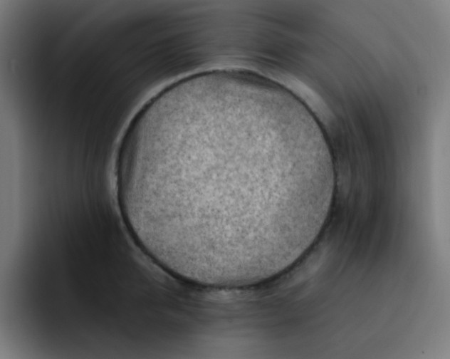 X0000093210950200710101324