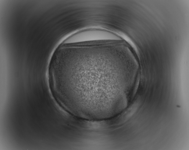 X0000093210951200710101324