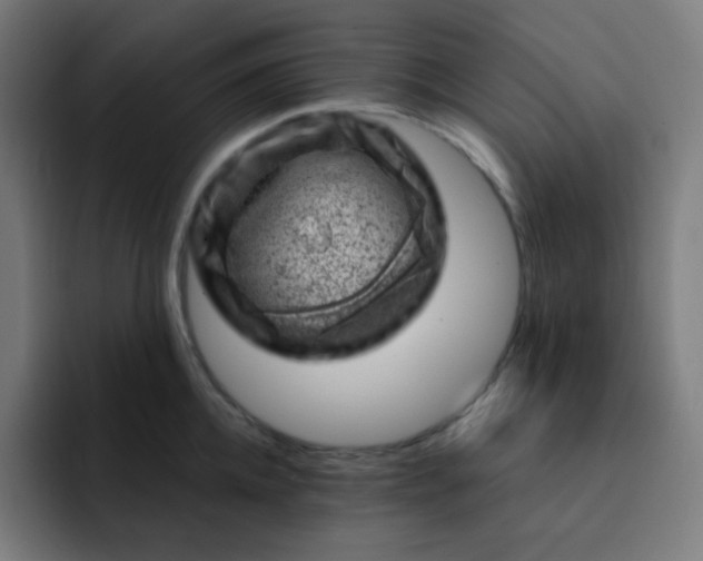 X0000093210952200710101324