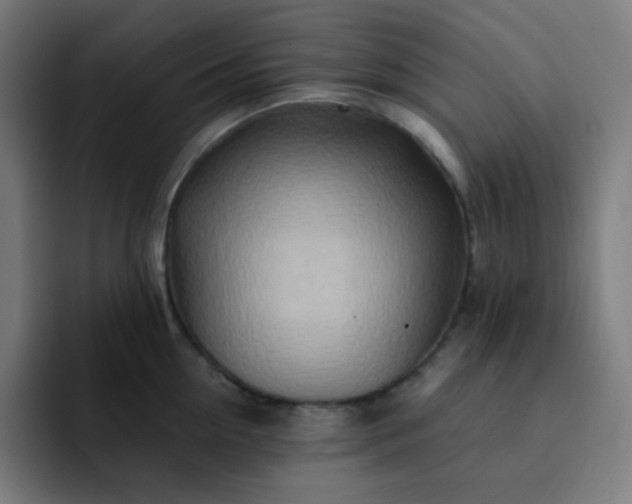 X0000093210954200710101324