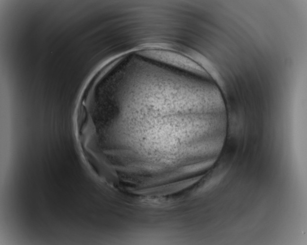 X0000093210955200710101324