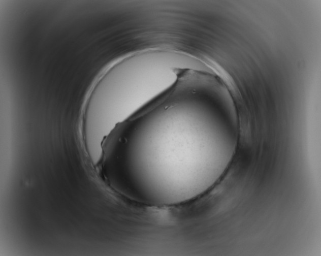 X0000093210956200710101324