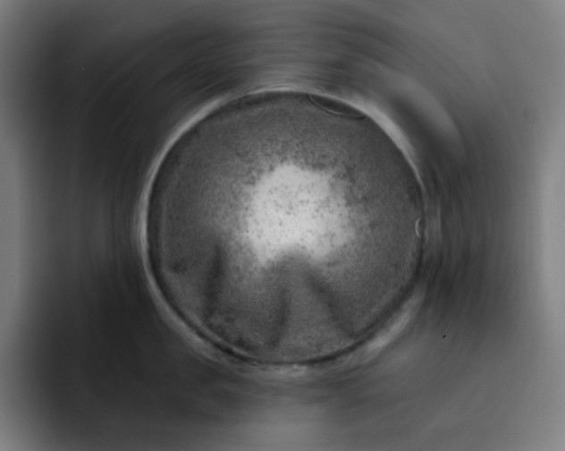 X0000093210957200710101324