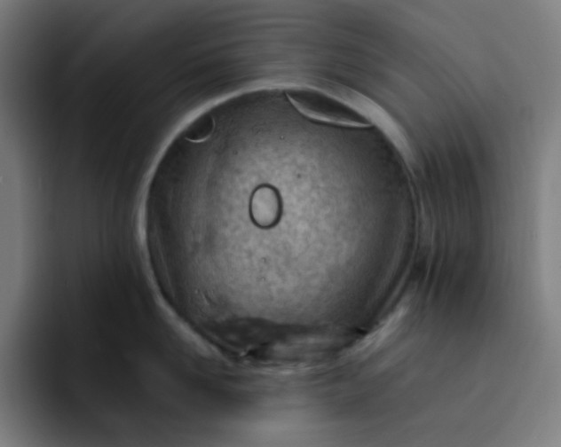 X0000093210958200710101324