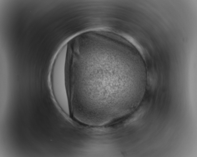 X0000093210959200710101324