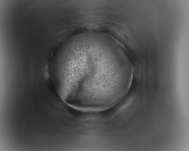 X0000093210962200710101323