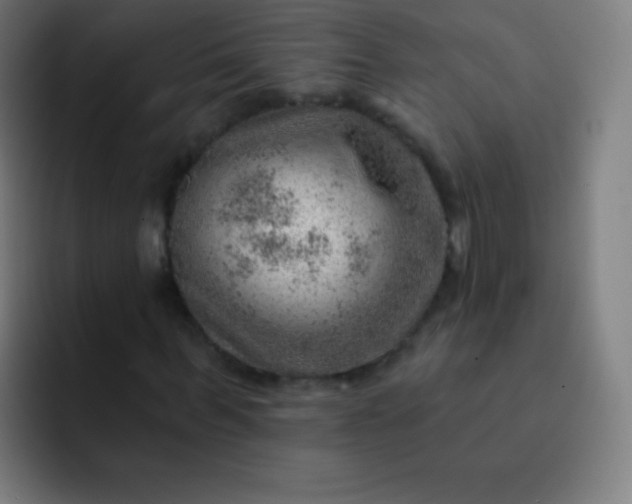 X0000093210963200710101323