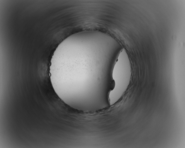 X0000093210964200710101323