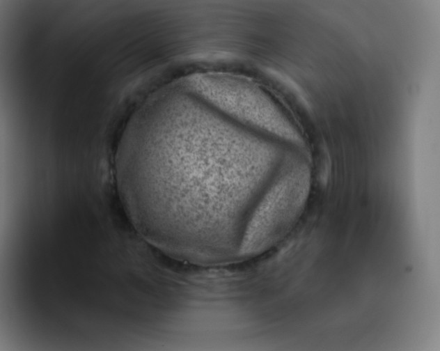 X0000093210966200710101323