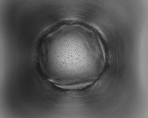 X0000093210967200710101323