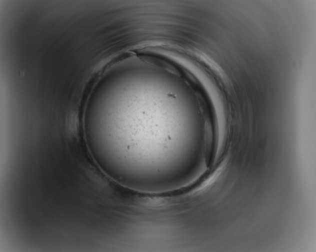 X0000093210969200710101323