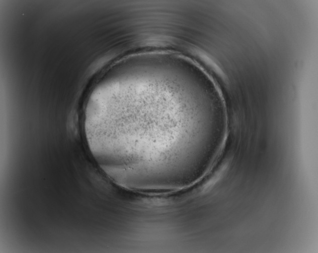 X0000093210970200710101323