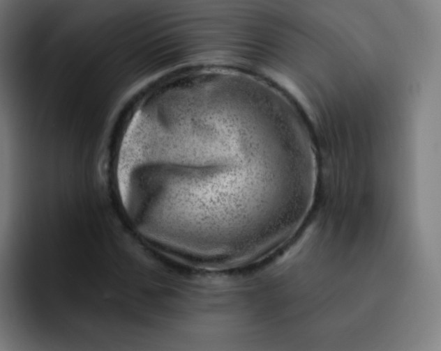 X0000093210971200710101323