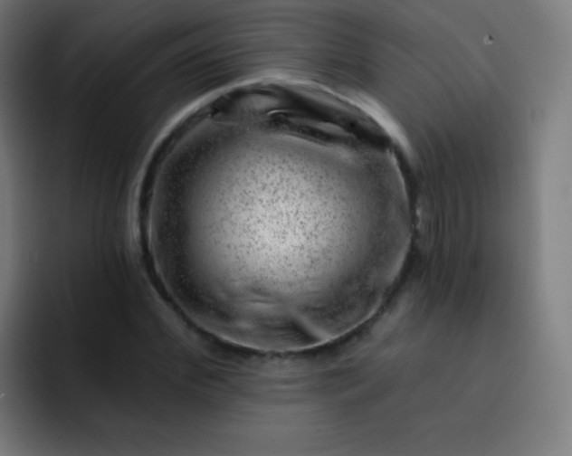 X0000093210972200710101323