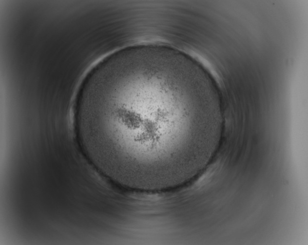 X0000093210975200710101323