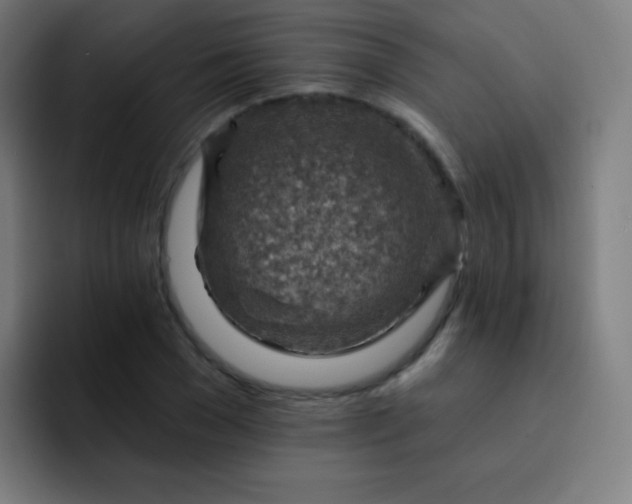 X0000093210977200710101323