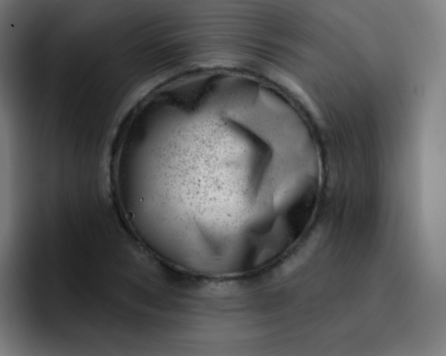 X0000093210978200710101323