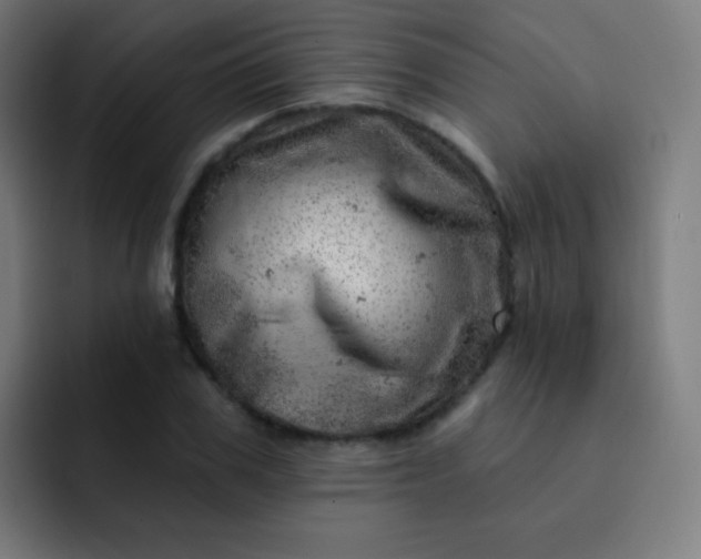 X0000093210979200710101323